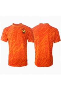 Fotbalové Dres Francie Brankářské Venkovní Oblečení ME 2024 Krátký Rukáv